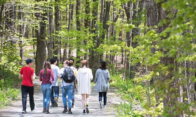 Trường học đặc biệt (Bài đọc hiểu tiếng Việt lớp 4 -đề số 13)